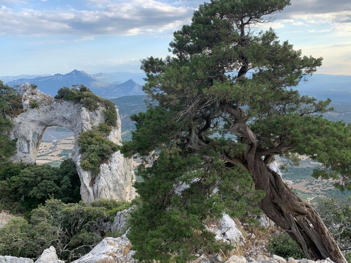 Sa Domu E Muru Galtellì 외부 사진